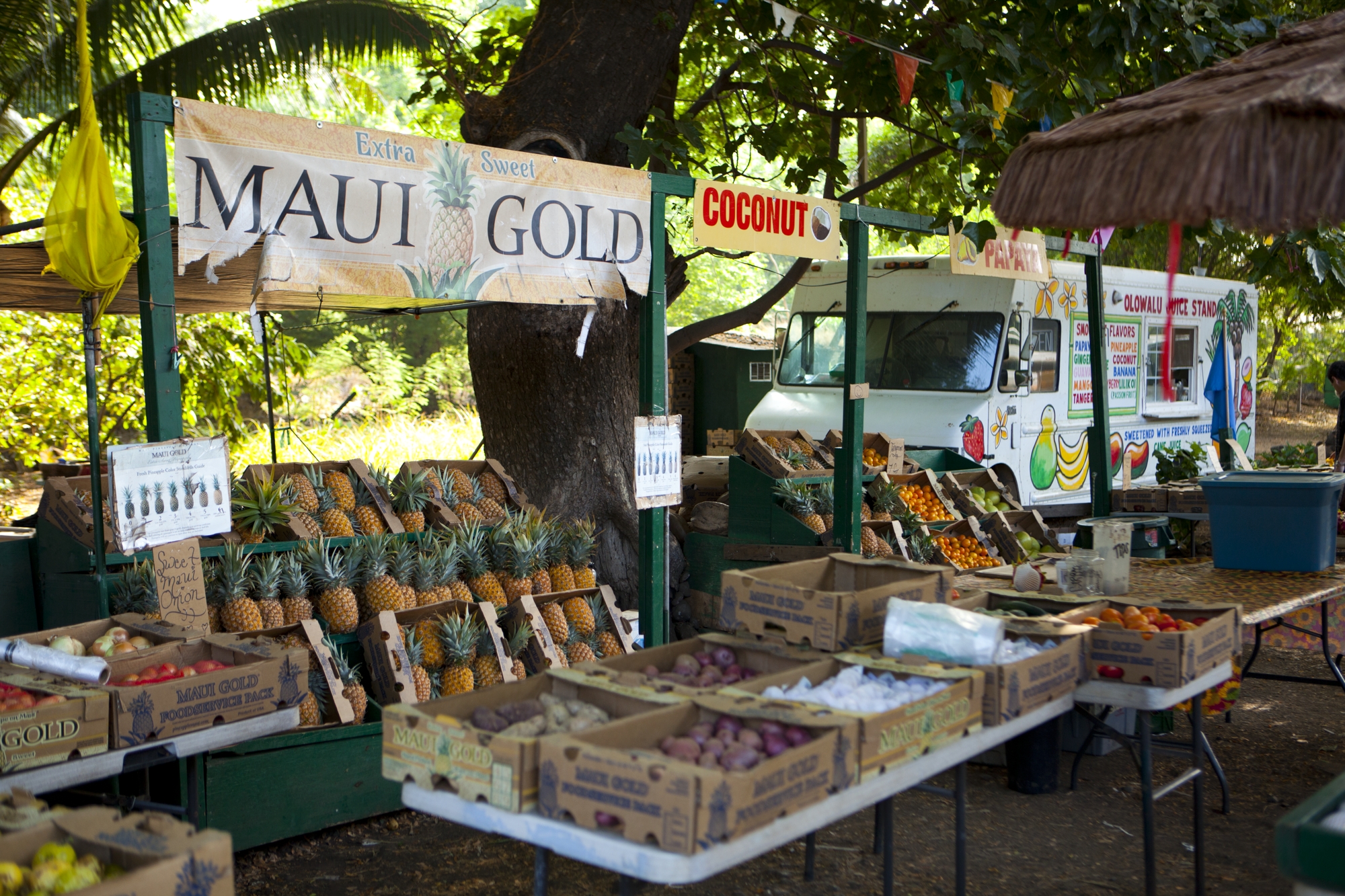 Discover Fresh Treasures at Farmers Market Maui